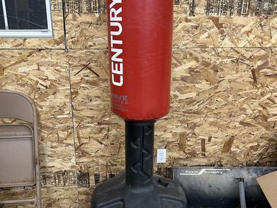 Standing punching bag