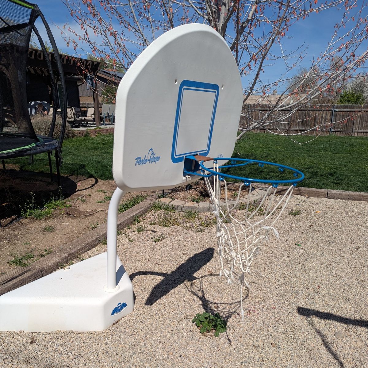 Free poolside basketball net