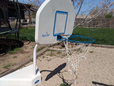 Free poolside basketball net