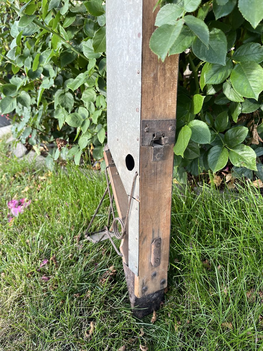 Main image 5