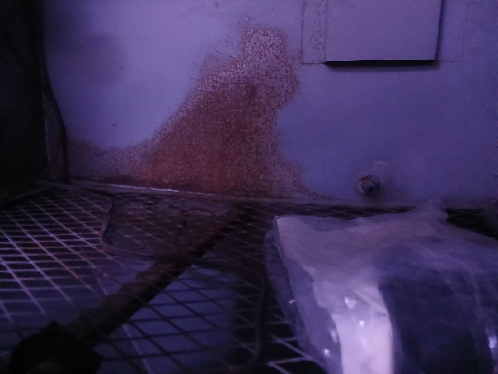 Main image 3