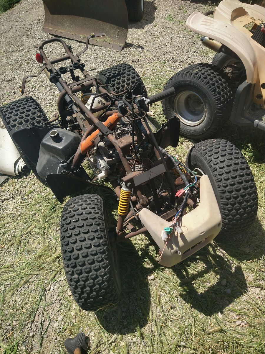 Main image 4