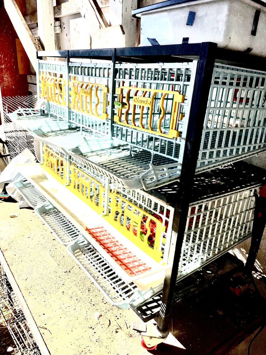 Hatching Time, Two Tier Breeding Cage For Sale