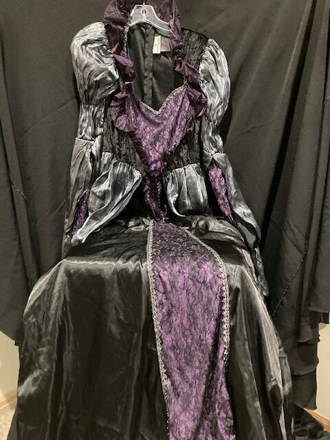 IN CHARACTER Costumes DARK QUEEN   $35