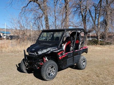 2019 Kawasaki Teryx4 LE