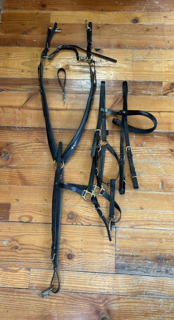 ZILCO Horse Size Complete Set