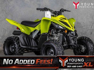 2026 Yamaha Raptor 110
