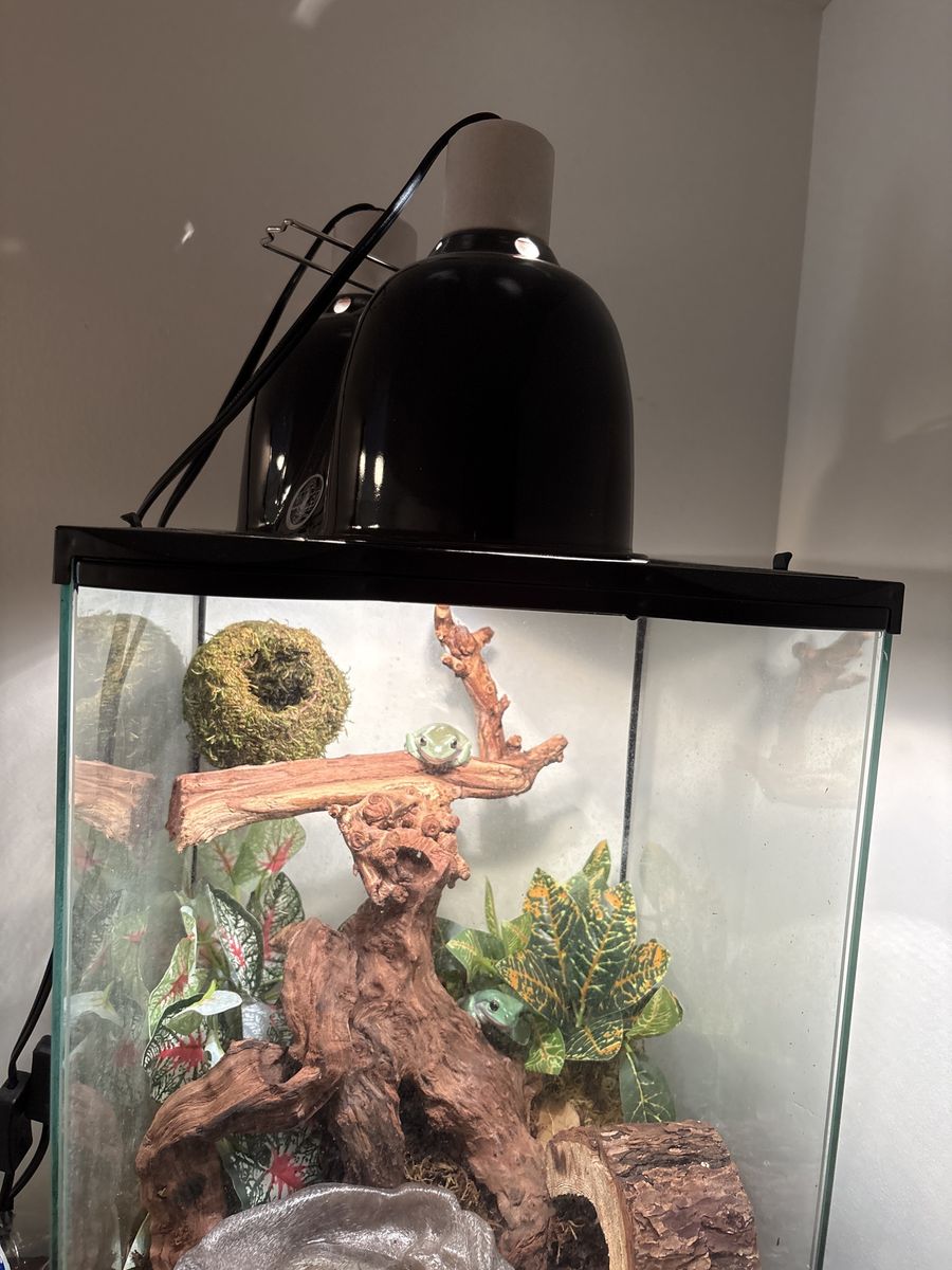 Main image 5