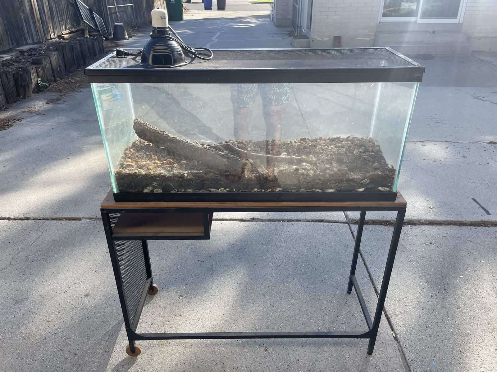 Terrarium ready for bioactive setup