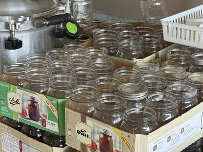 Ball and Kerr Glass Pint Mason Jars