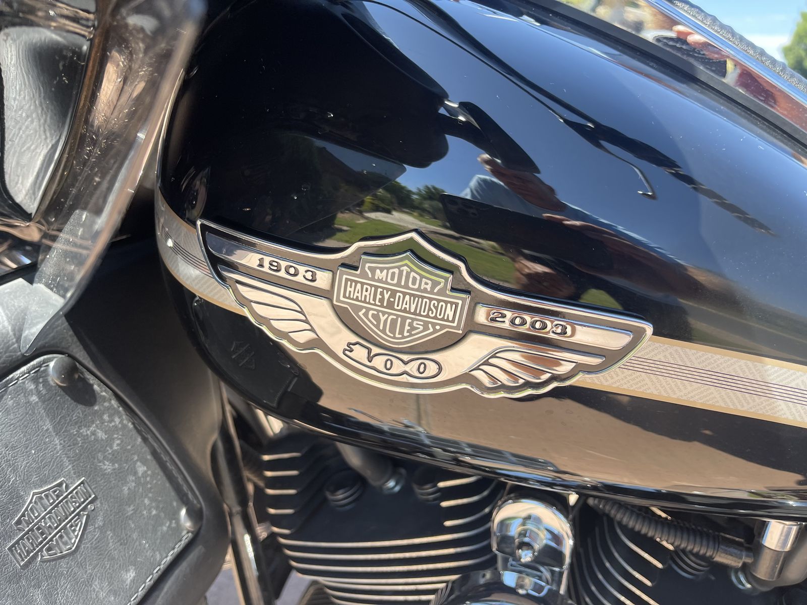 100 th Anniversary Electra Glide