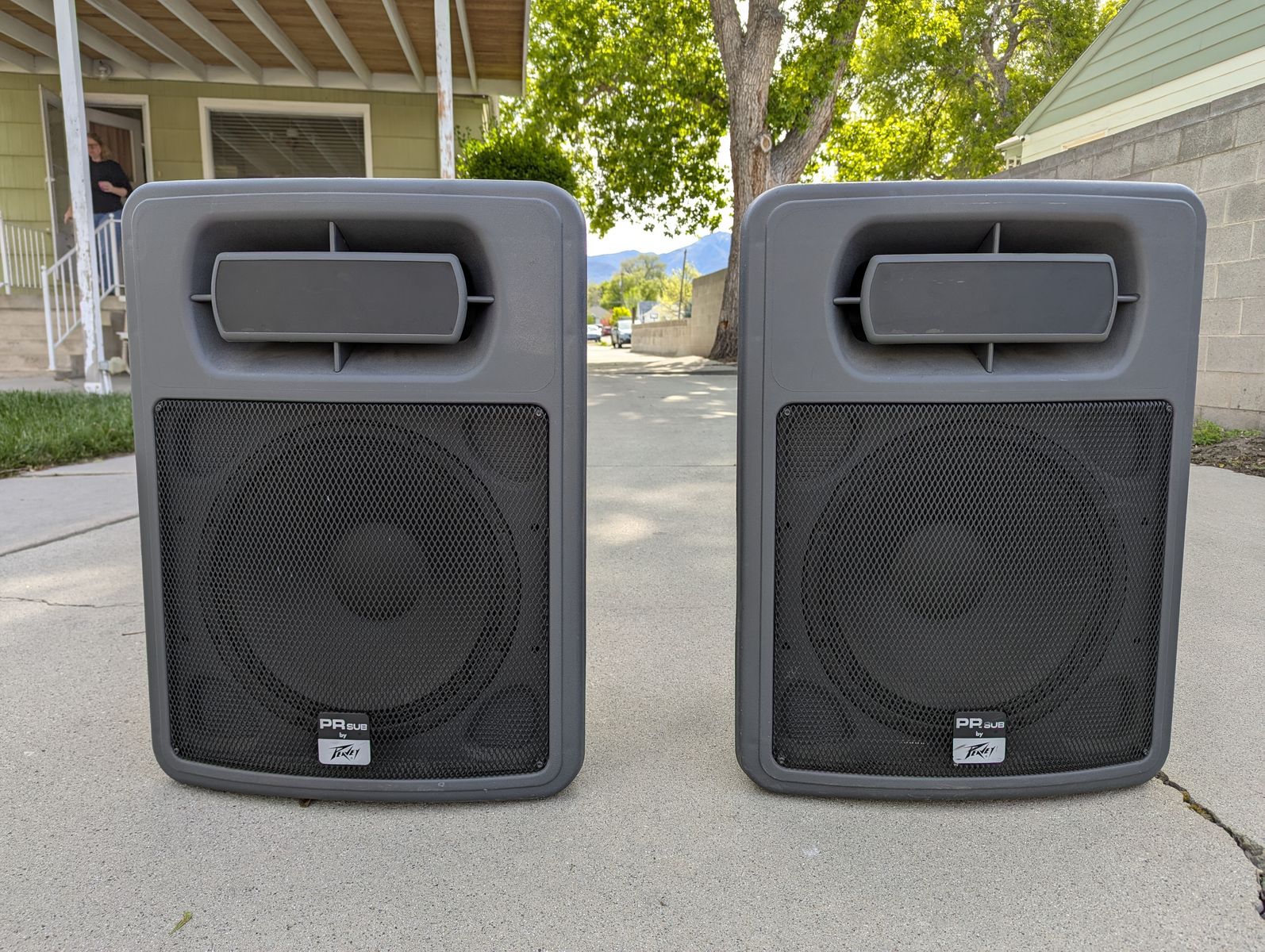 Peavey PR Sub Speakers