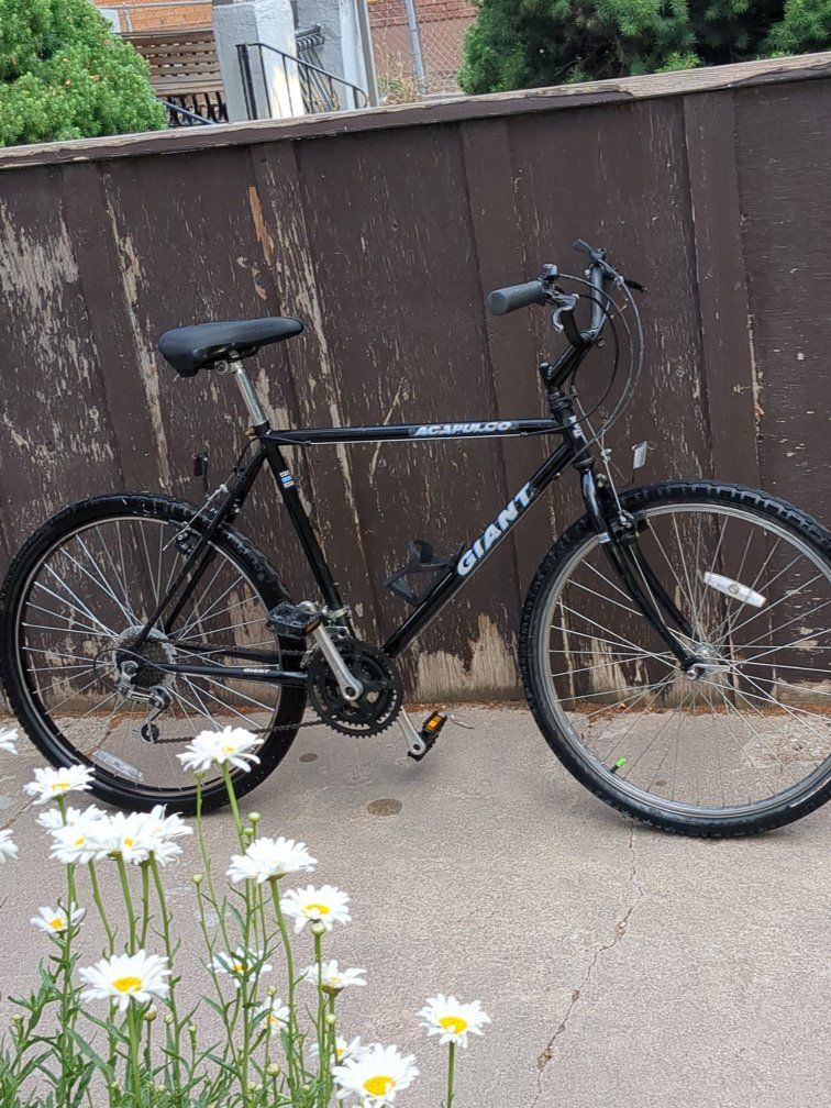 1990 Giant Acapulco