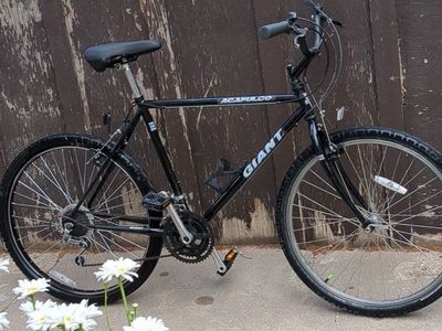 1990 Giant Acapulco