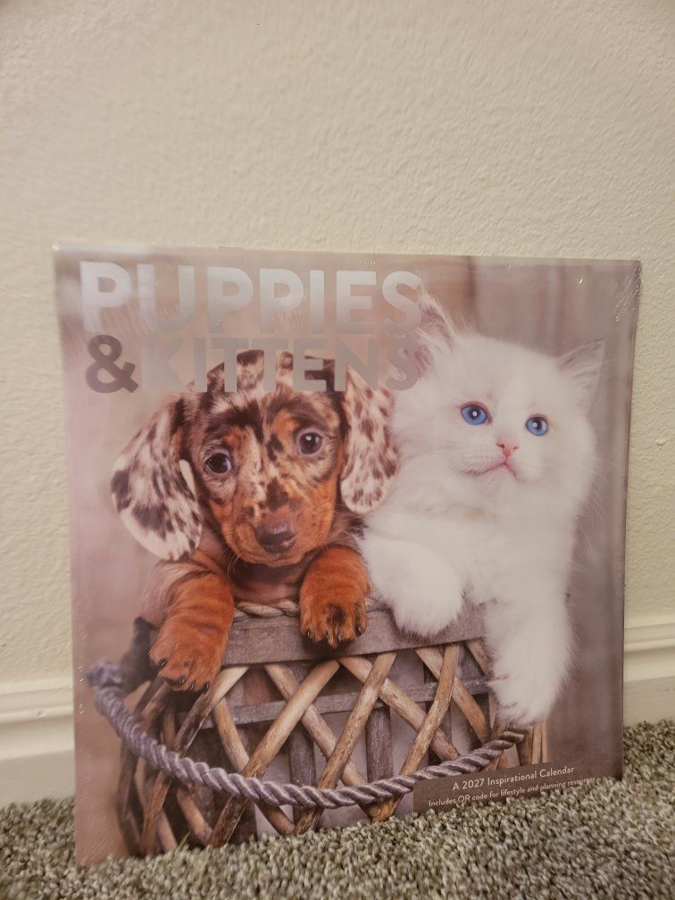 2027 Puppies & Kittens Wall Calendar