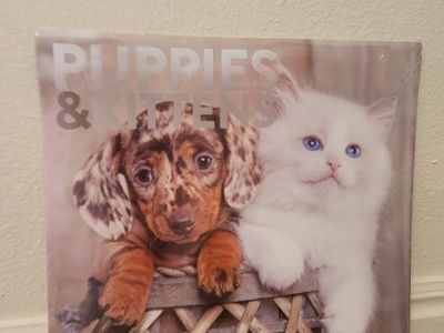 2027 Puppies & Kittens Wall Calendar