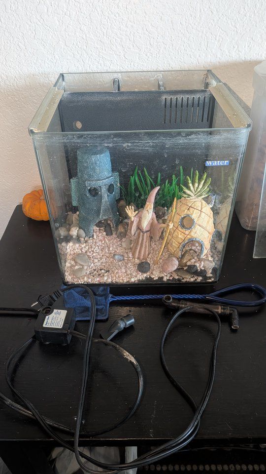5 gallon fish tank, pump and accessories $20