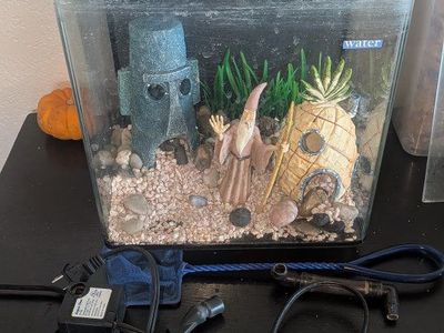 5 gallon fish tank, pump and accessories $20