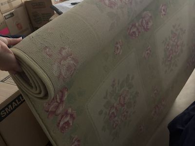 Floral Area Rug - Light Green with Pink Roses - Used Good Condition