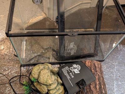 snake enclosure with accessories