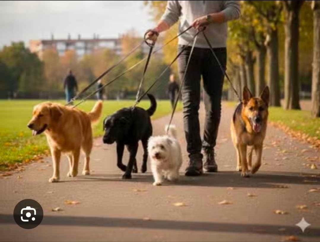 Walking dog