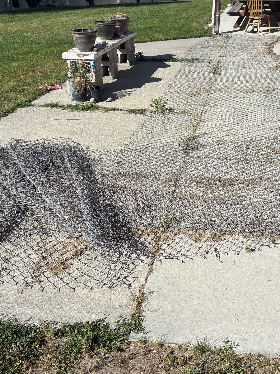 Two long sections of used chain link fencing