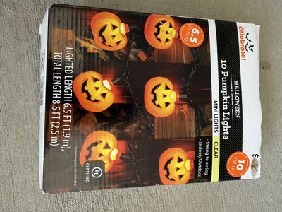 Celebrate! Halloween 10 Pumpkin Mini Lights - 6.5ft Length, Indoor/Outdoor Clear Bulbs