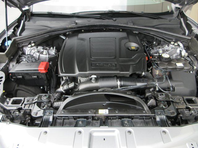 Main image 49