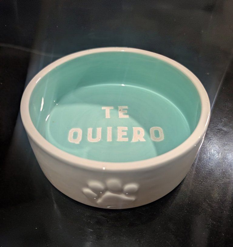 Ceramic Pet Bowl Light Teal & White with 'TE QUIERO' & Paw Print Motif