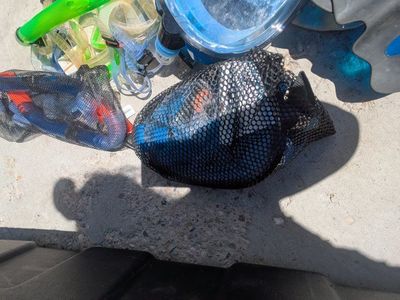 Snorkel gear