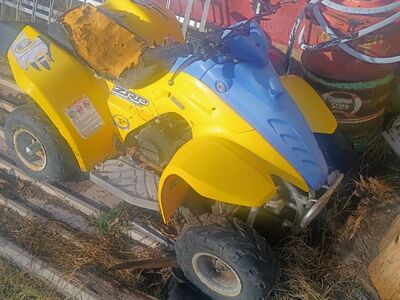 Little kids two-stroke four-wheeler