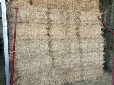 Barn Stored Straw Bales