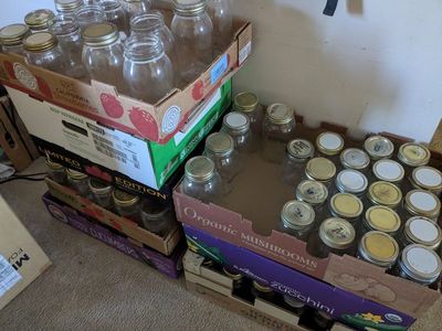 Canning mason jars pint quart small wide mouth