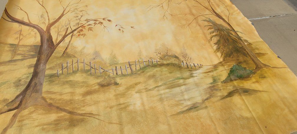 Custom hand painted canvas backdrops drops.