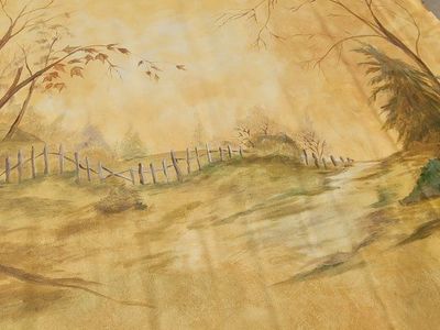 Custom hand painted canvas backdrops drops.