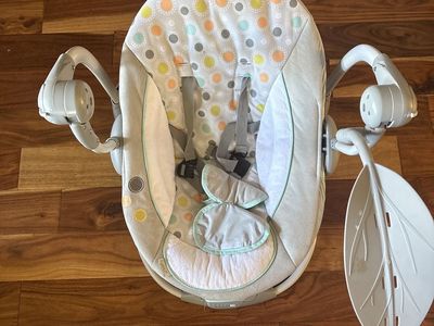 Free Baby Swing