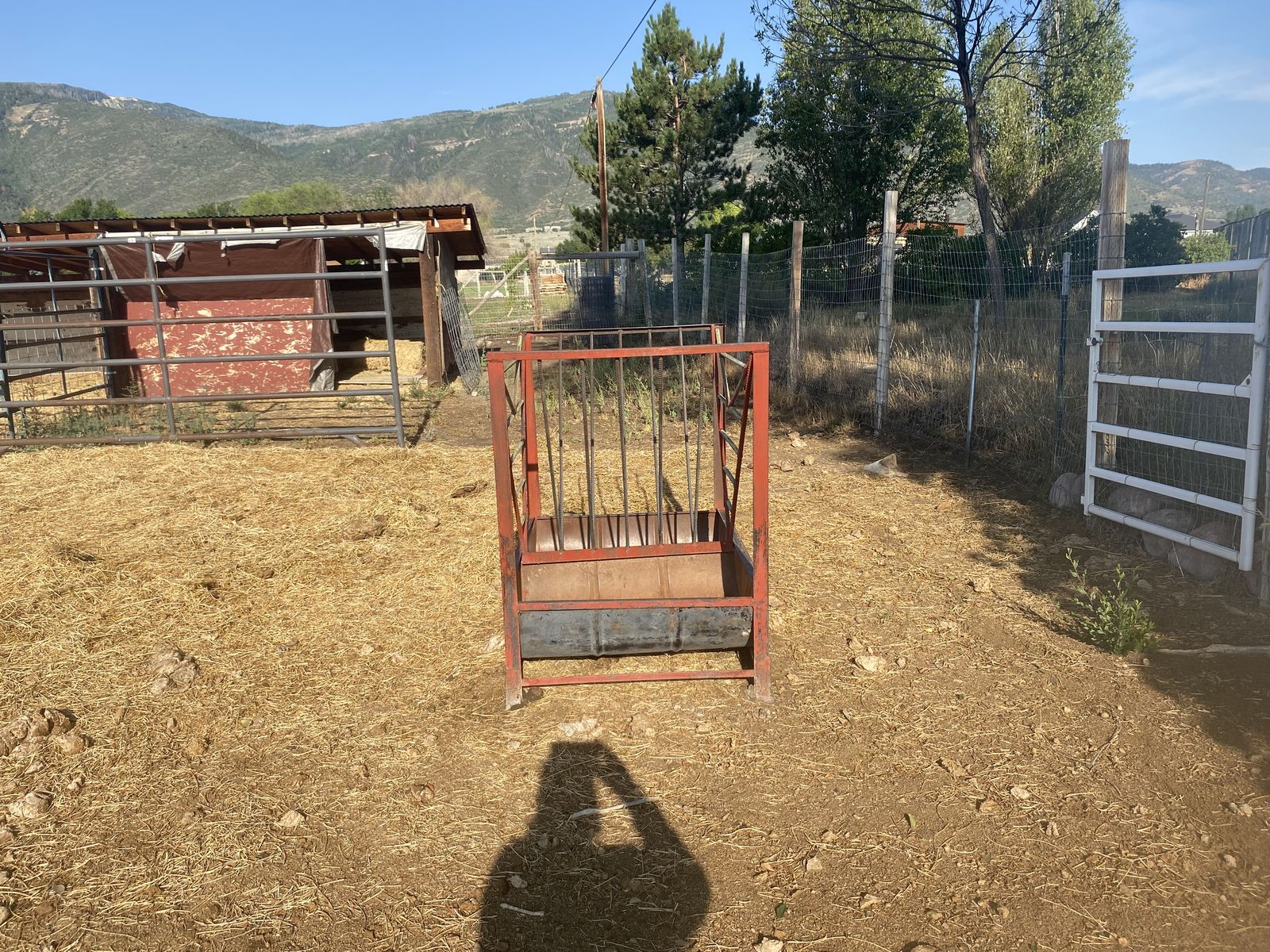 Main image 8