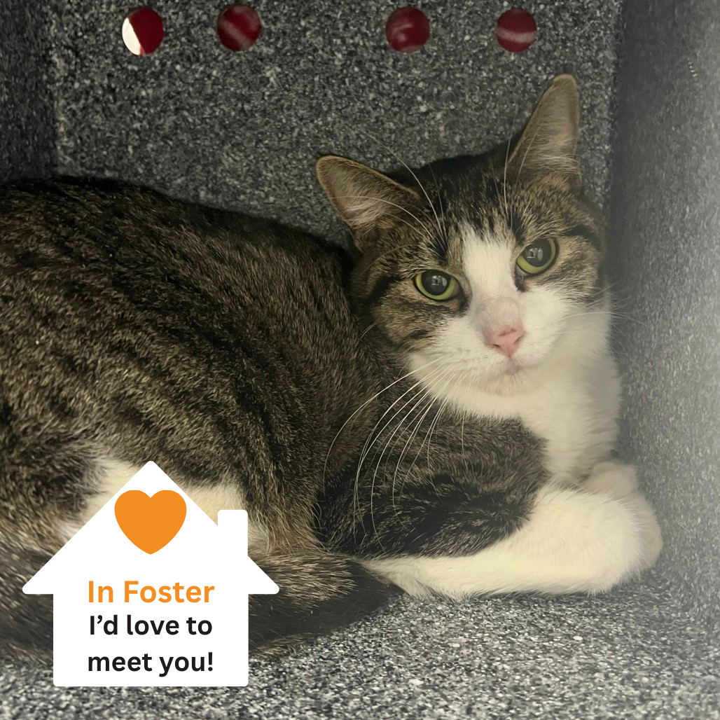 Hello my name is Mary Lou