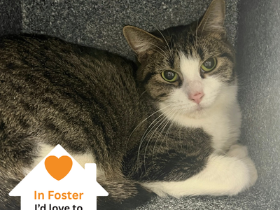 Hello my name is Mary Lou