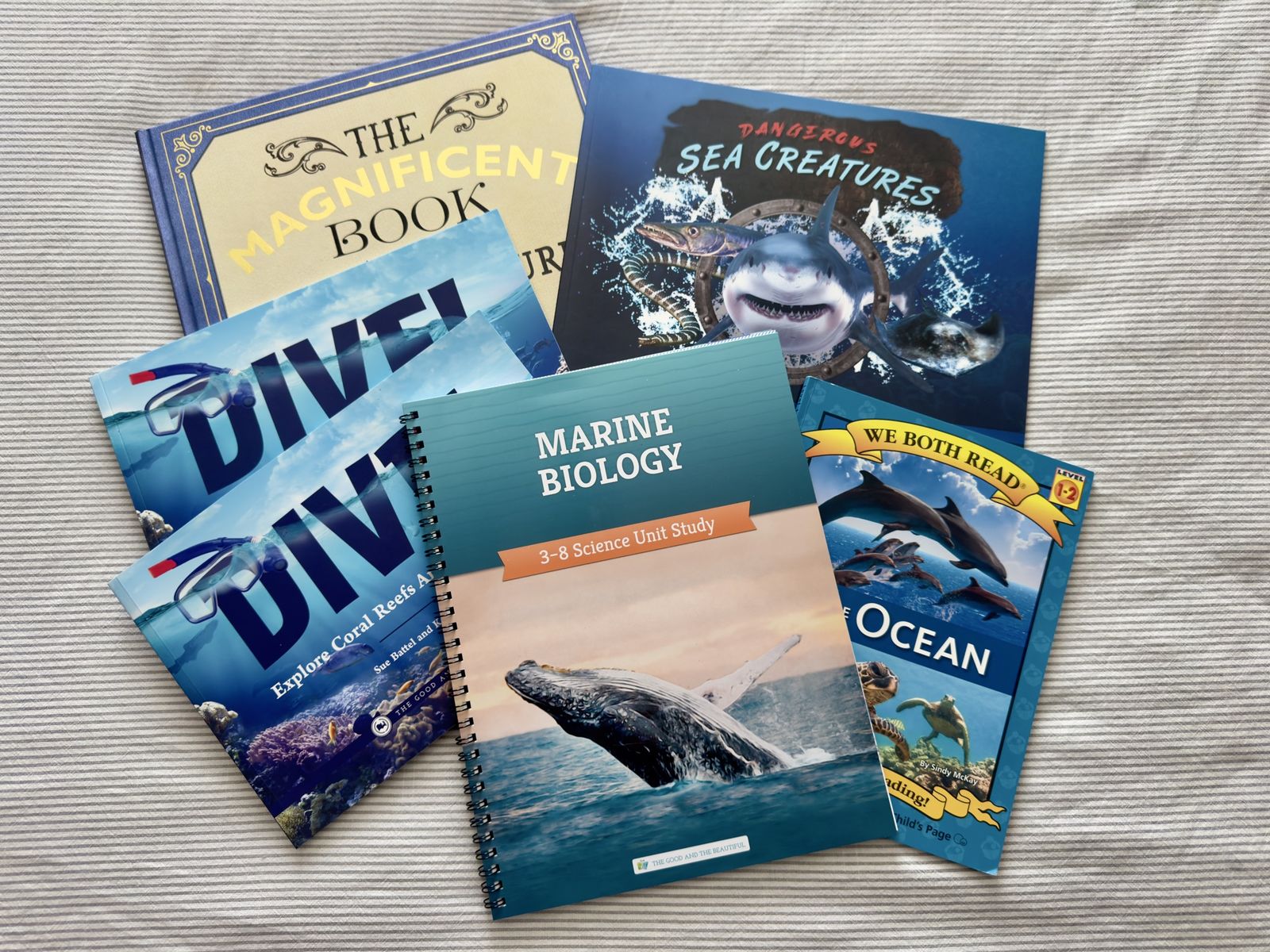 The Good and the Beautiful Marine Biology Science Unit Study, Books, Dive Coral Reefs Activity Books