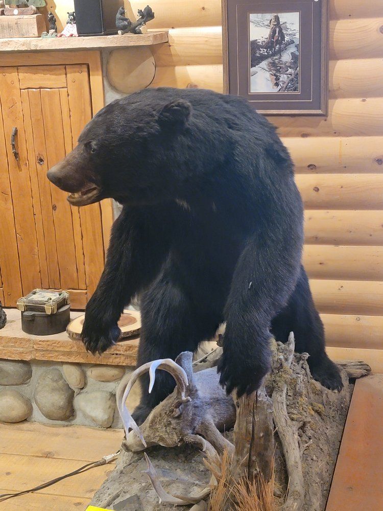 Main image 4
