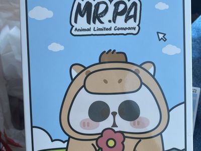 Mr.pa