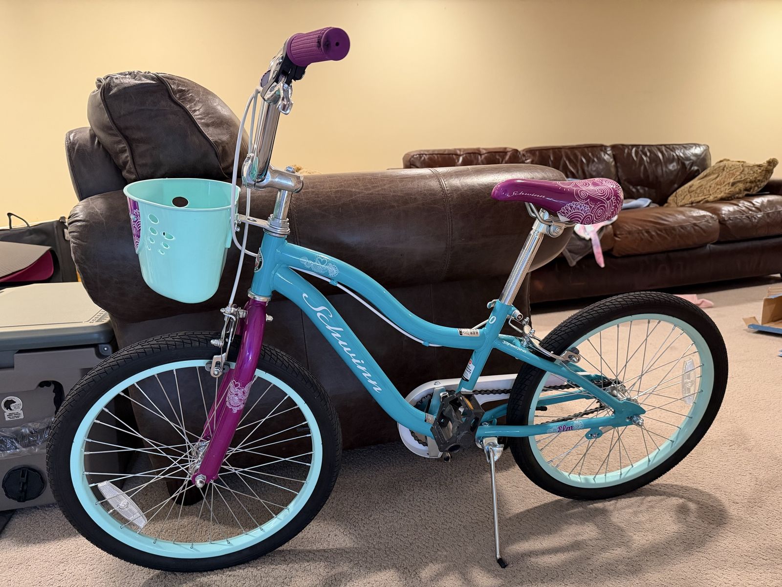 Schwinn Elm Teal 20" Kids' Bike with Basket - Excellent Condition, Ready to Ride!