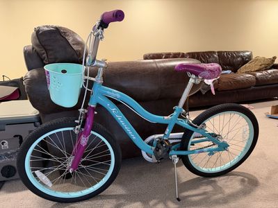 Schwinn Elm Teal 20" Kids' Bike with Basket - Excellent Condition, Ready to Ride!