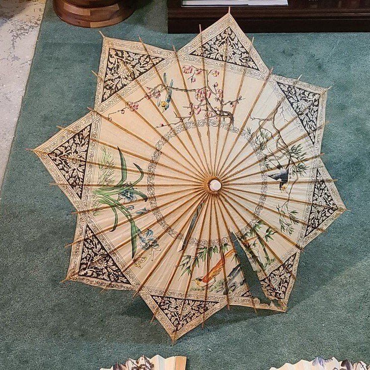 Asian Parasol