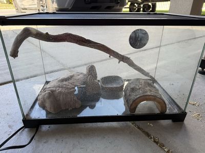 Snake/reptile enclosure, fish tank for sale