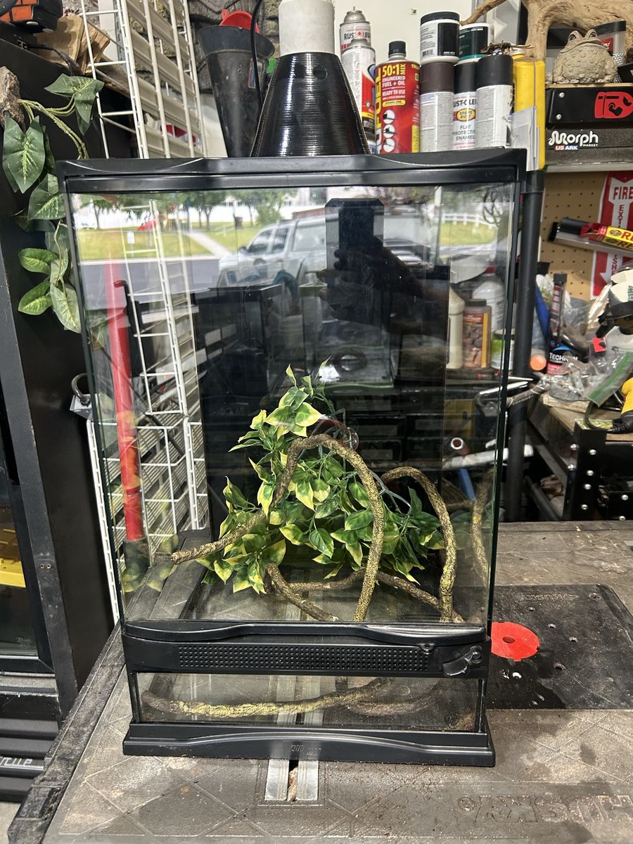 Zoomed tank