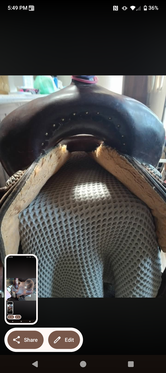 Robbie barrel saddle 