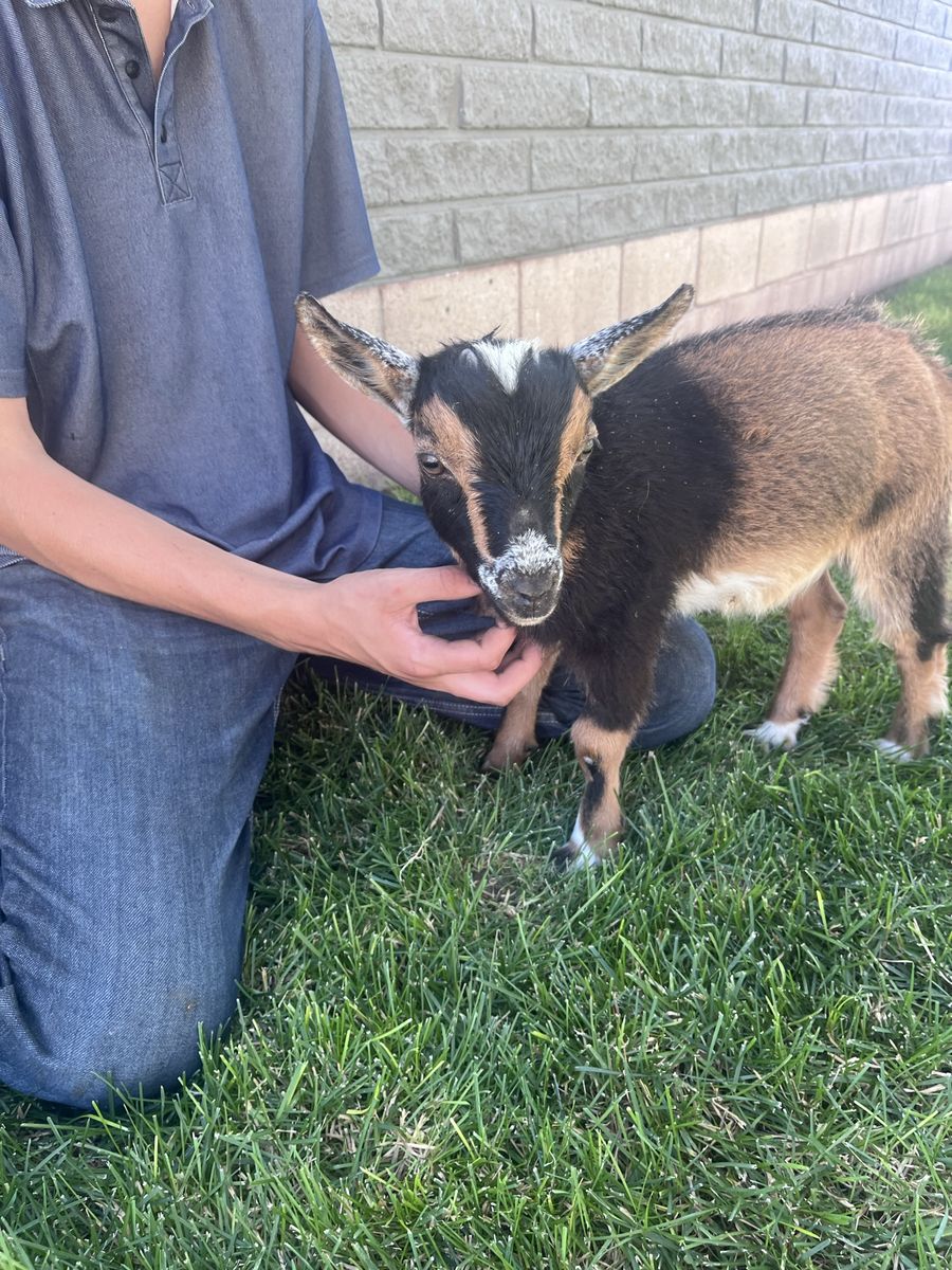 Main image 2