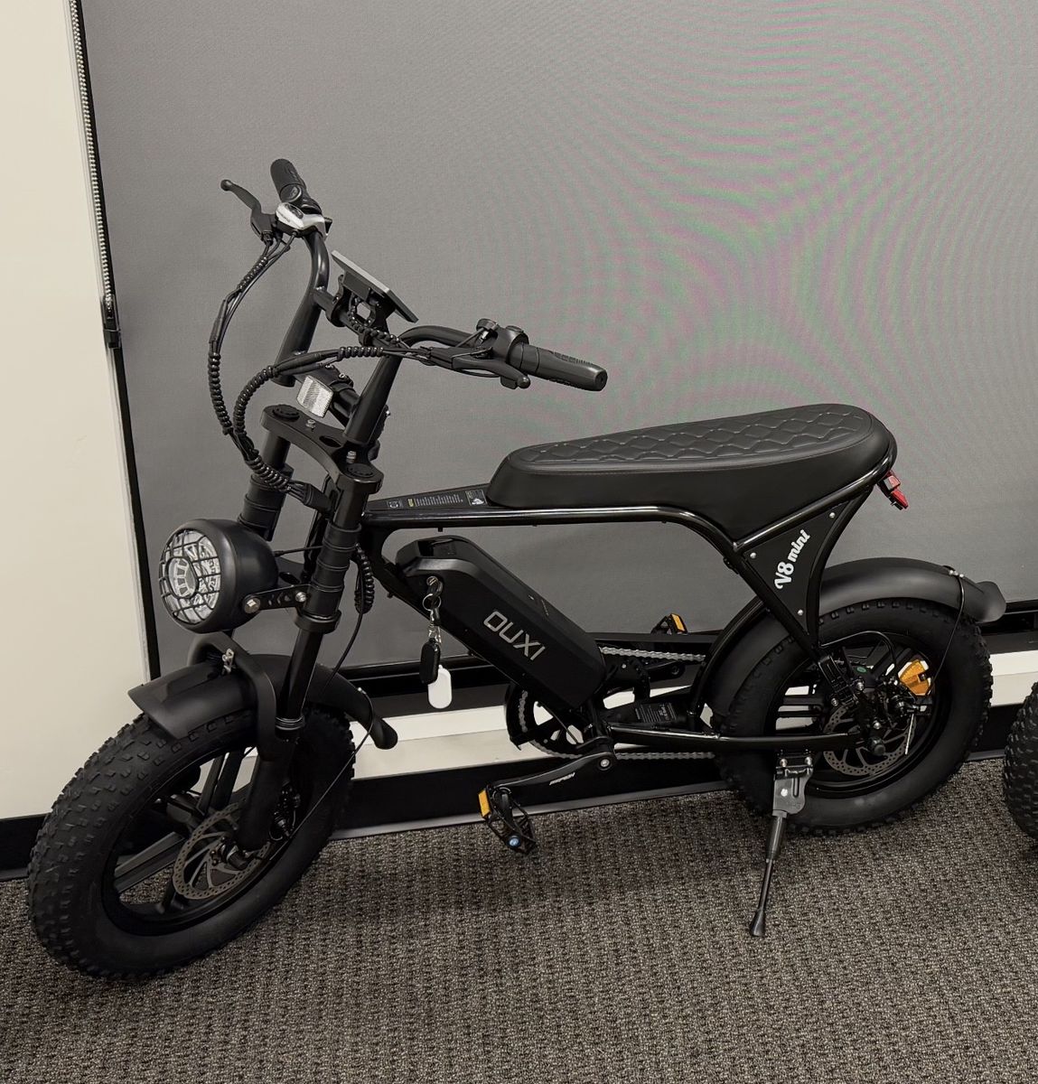Stolen Mini E-Bike